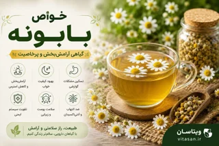 خواص بابونه | راهنمای کامل فواید، نحوه مصرف و نکات مهم