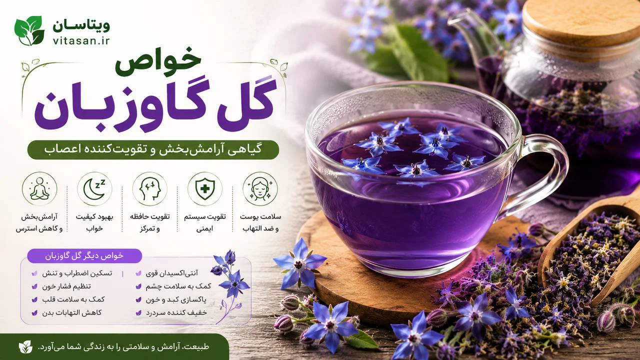 خواص گل گاوزبان | راهنمای کامل فواید، نحوه مصرف و نکات مهم